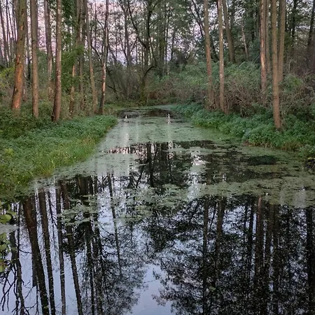 Letniskowy Letniczówka Сasa de vacaciones *