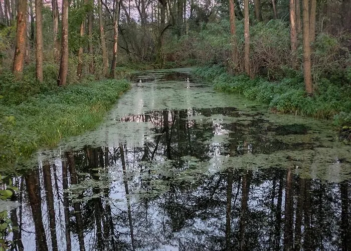 Letniskowy Letniczowka Дом отдыха *